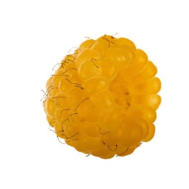 Beyaz arka plan üzerinde izole sarı ahududu