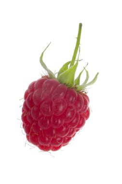 Beyaz arkaplanda kırmızı ahududu izole edildi