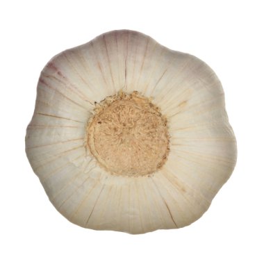 Beyaz arka planda izole sarımsak Closeup çekim 