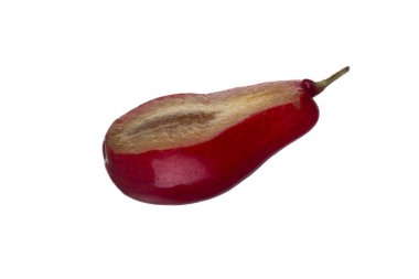 Cornel dut üzerinde izole beyaz arka plan