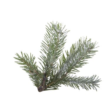 Kozalaklı şubenin yakın çekim, Noel arka plan