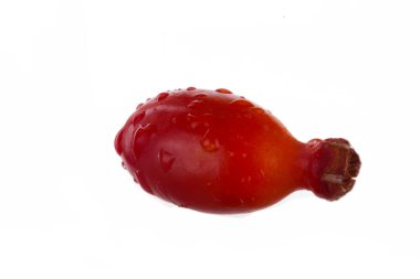 Köpek rose berry izole üzerinde beyaz arka plan