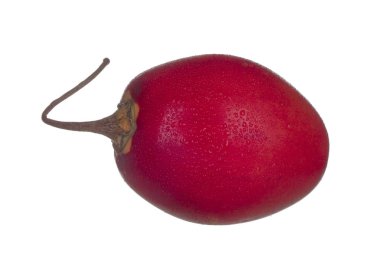 Beyaz arka plan üzerinde izole taze tamarillo