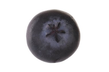 Beyaz arka planda izole yaban mersini yakın çekim 