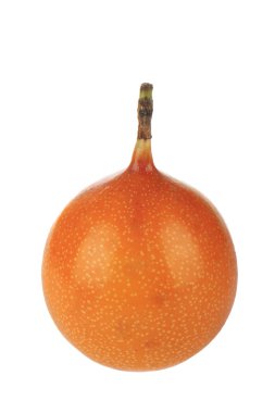 Ligularis closeup, passiflora çekim beyaz izole