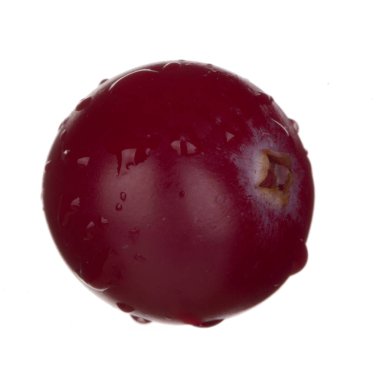 Beyaz arka planda izole kızılcık yakın çekim 