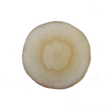 Beyaz arka plan üzerinde izole aromatik rezene