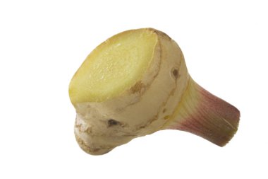 Beyaz arkaplanda zencefil kökü izole edildi