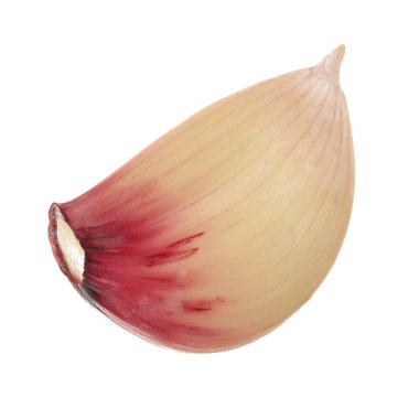 Beyaz arka planda izole sarımsak Closeup çekim 