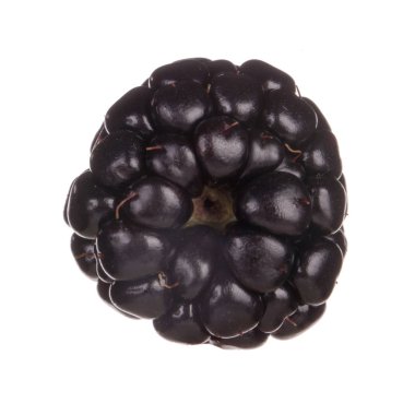 olgun böğürtlen beyaz arkaplanda izole