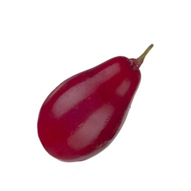 Cornel dut üzerinde izole beyaz arka plan