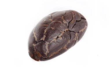 Fasulye yakınçekim, gıda arka plan