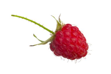 Olgun kırmızı ahududu beyaz arkaplanda izole