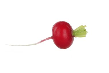 Beyaz arkaplanda taze turp izole edildi