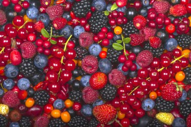 Olgun taze çilek çeşitli