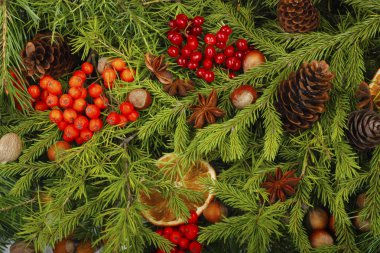Çam dalları, meyve ve baharat yapılmış Advent kompozisyon.