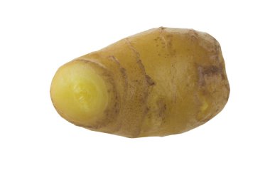 Beyaz arkaplanda zencefil kökü izole edildi