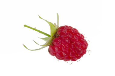 Beyaz arka plan üzerinde izole Olgun tatlı ahududu