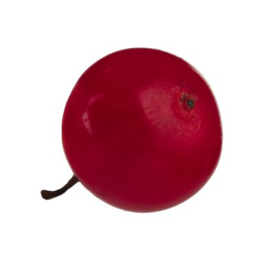 Beyaz arka plan üzerinde izole guelder closeup