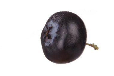 Beyaz arka planda izole yaban mersini yakın çekim 