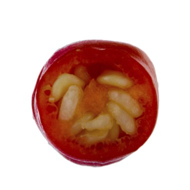 Kırmızı biber biber beyaz arka plan üzerinde izole