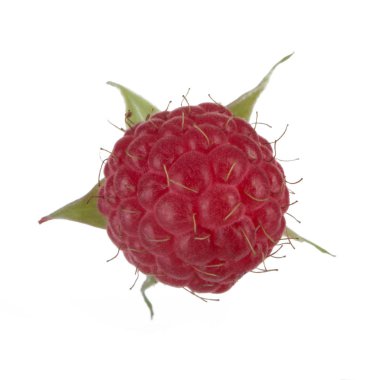 Olgun kırmızı ahududu beyaz arkaplanda izole