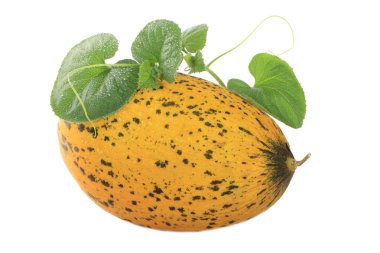 Beyaz arka plan üzerinde izole kavun closeup