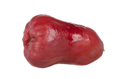 Pommerac Closeup, Malay elma beyaz izole atış