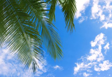 Tropik ada üzerinde mavi gökyüzü