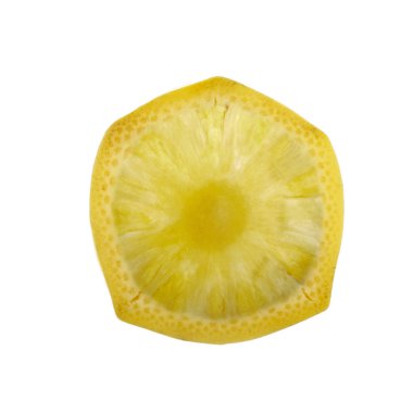 Beyaz arka planda izole edilmiş hibrit meyvenin yakın çekimi