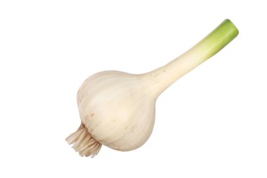 Beyaz arka planda izole sarımsak Closeup çekim 