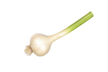 Beyaz arka planda izole sarımsak Closeup çekim 