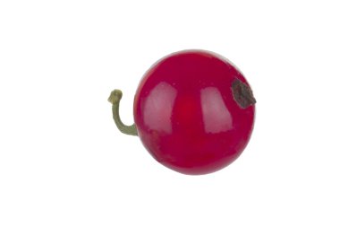 Beyaz arka planda izole edilmiş kırmızı frenk üzümünün yakın çekimi 