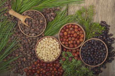 Çeşitli baharatların yakın çekim görünümü 