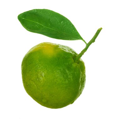 Mandarin beyaz arkaplanda izole edildi