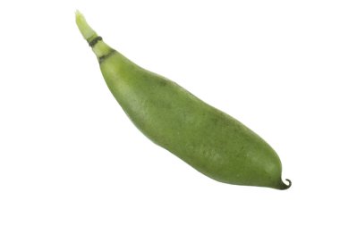 Beyaz üzerinde izole Pod bezelye closeup 