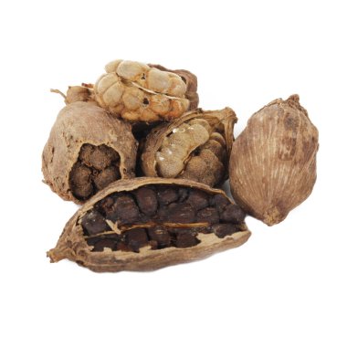 Beyaz arka planda izole edilmiş kakulenin yakın çekimi