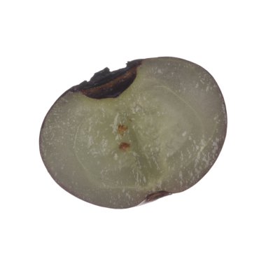 Beyaz arka planda izole yaban mersini yakın çekim 