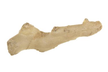 Beyaz arkaplanda zencefil kökü izole edildi