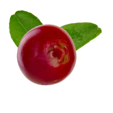 Beyaz arka planda izole edilmiş inek-berry yakın çekim 