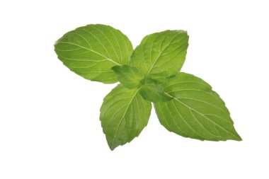 Fesleğen yaprakları beyaz arkaplanda izole