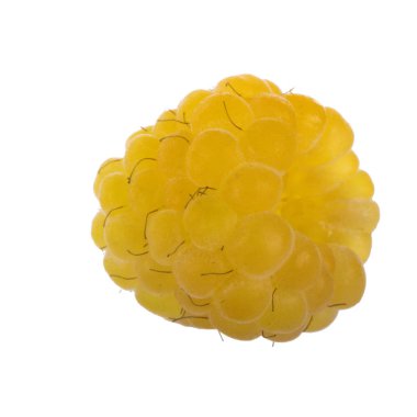 Beyaz arka plan üzerinde izole sarı ahududu