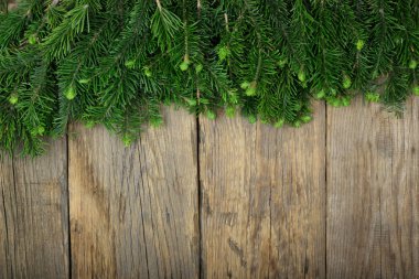 Kozalaklı dalların kapatılması, Noel arka planı