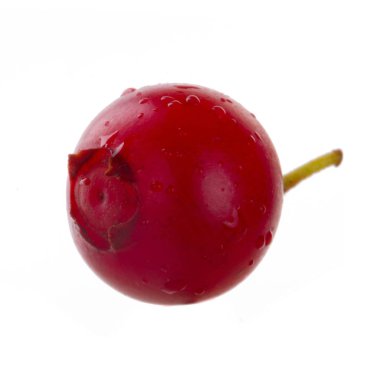 Beyaz arka planda izole edilmiş inek-berry yakın çekim 