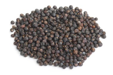 Beyaz arka planda izole ardıç yakın çekim