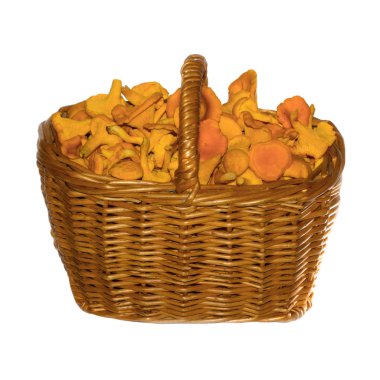 Mantar yığınının kapatılması, yiyecek arka planı 