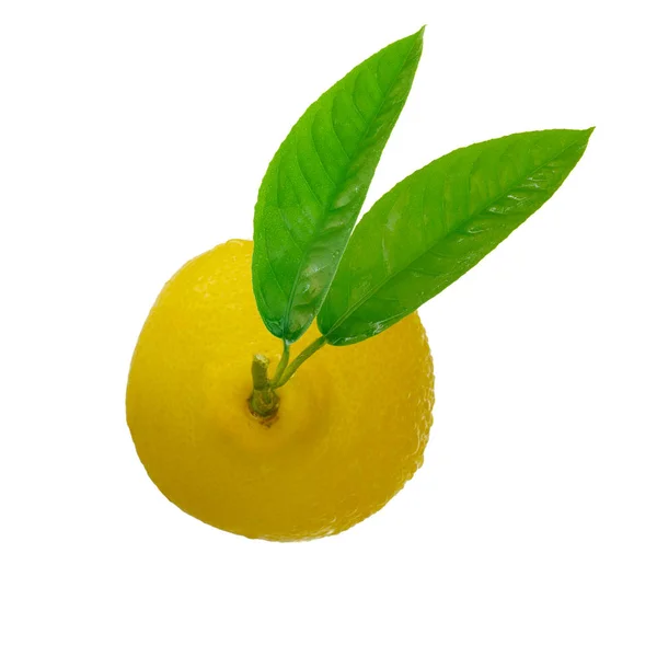 成熟的黄色柠檬 背景为白色 — 图库照片