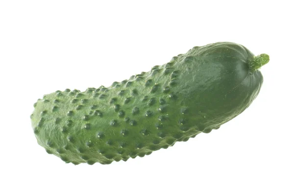 Ham Olgun Yeşil Salatalık Beyaz Arka Plan Üzerinde Izole — Stok fotoğraf