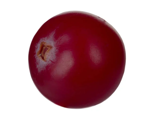 Close Van Cranberry Geïsoleerd Witte Achtergrond — Stockfoto