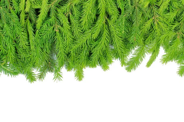 Boarder Made Fir Tree Branches Copy Space — Stock Photo, Image